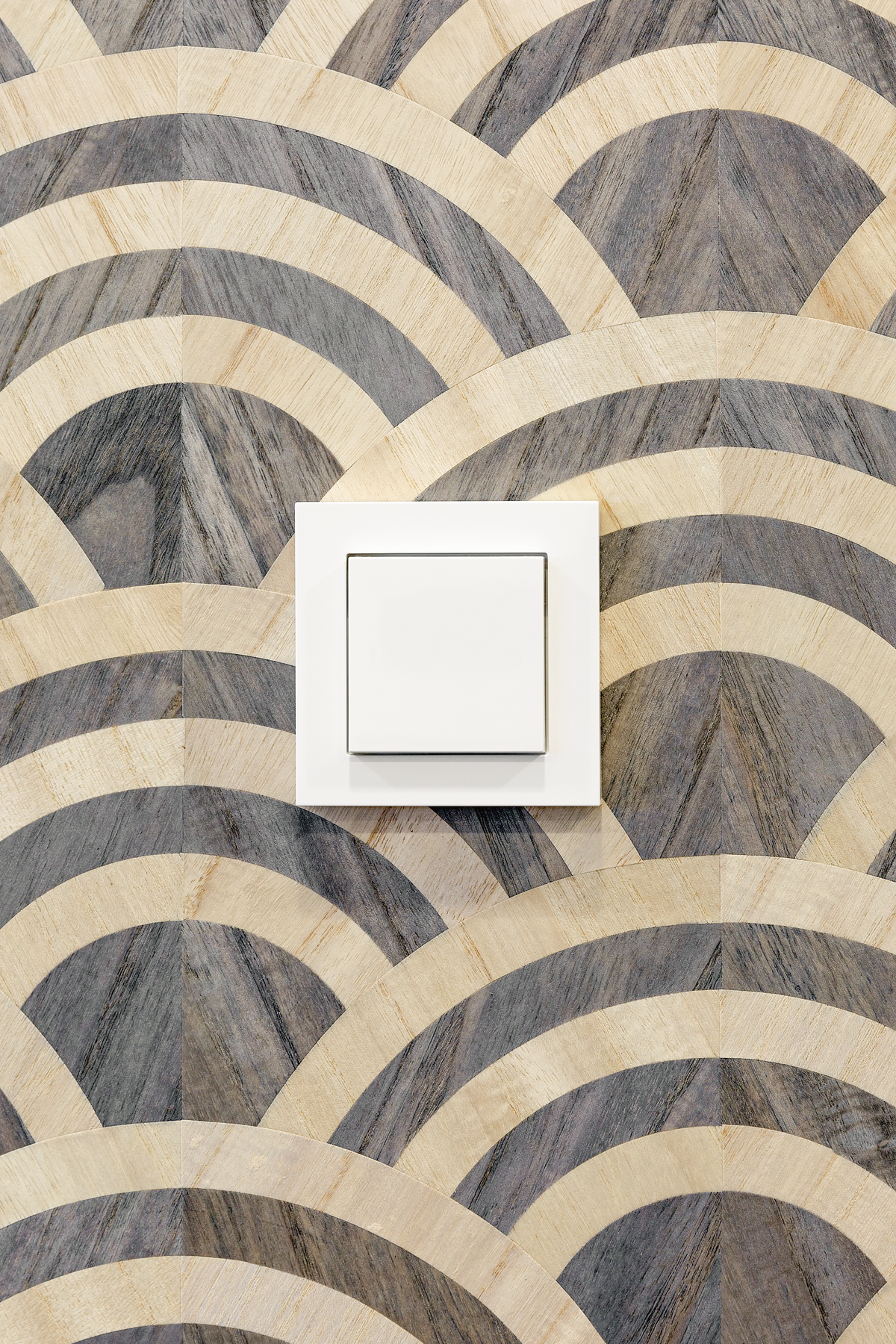 Wall switch on Lucky O Wallcovering detail